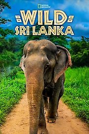 Wild Sri Lanka