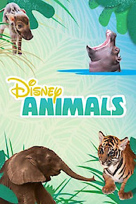 Disney Animals