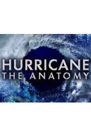 Hurricane the Anatomy