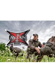 Avian-X