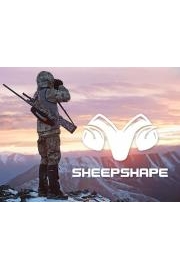 Sheep Shape