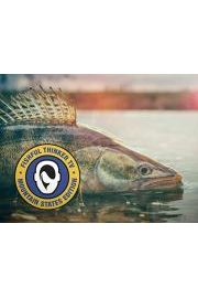 Fishful Thinker