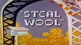 Steal Wool