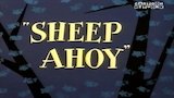 Sheep Ahoy