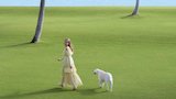 Inside Aerin Lauder's Family's Home in Palm Beach
