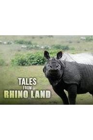 Tales from Rhino Land