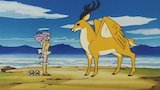 The Legend of the Stag