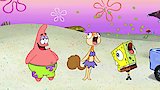 A Fish Called Sandy
