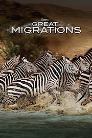 Great Migrations