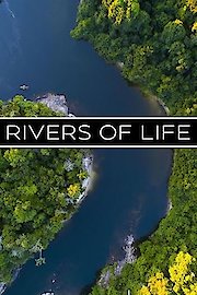 Rivers of Life