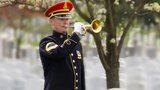 Section 60: Arlington National Cemetery