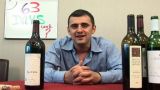 Serious Cabernet Sauvignon Taste Off