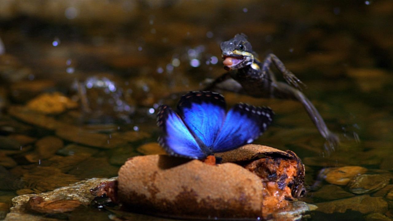 Moment Of Impact