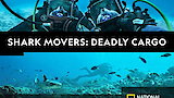 Shark Movers: Deadly Cargo