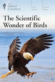 The Scientific Wonder of Birds