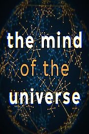Mind of the Universe