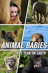 Animal Babies: First Year on Earth