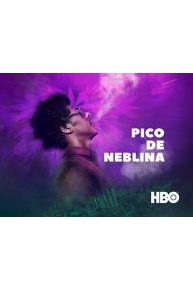 Pico de Neblina (Joint Venture)