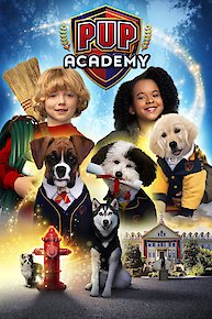 Pup Academy