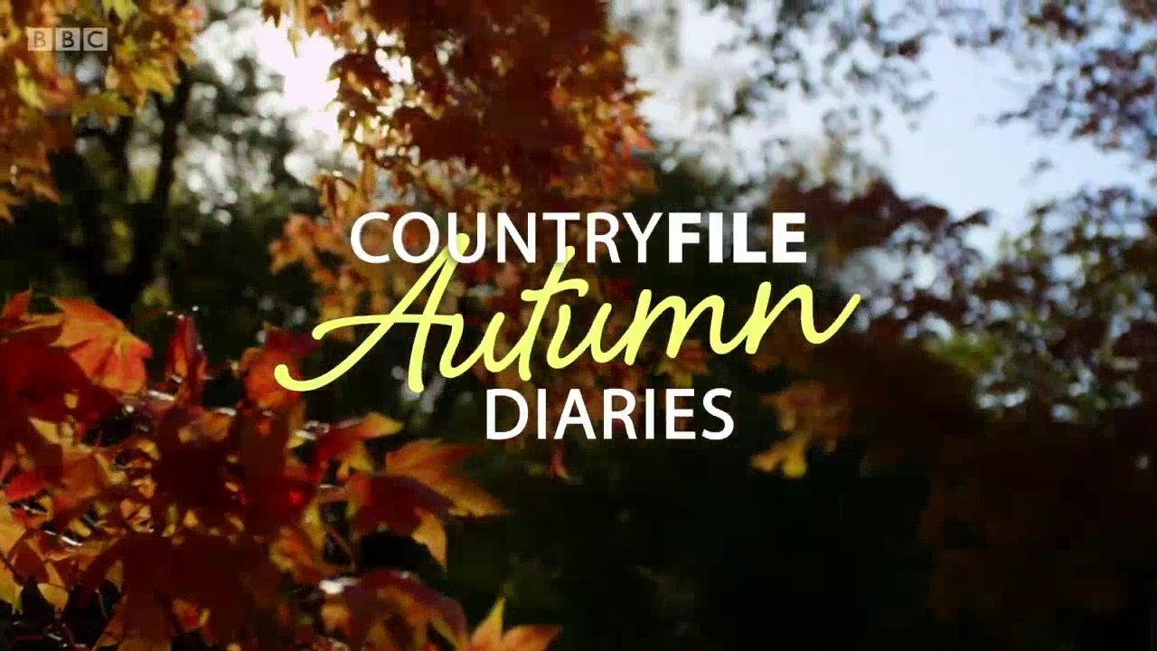 Countryfile Autumn Diaries