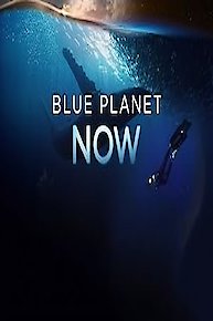 Blue Planet Now