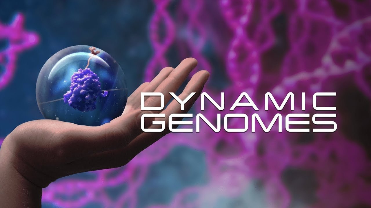 Dynamic Genomes