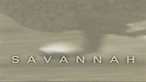 Savannah