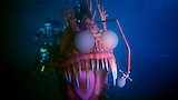 Thom Self: Machinist/Scuba Diver