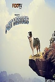 Pet Heroes