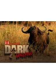 Hornady's Dark and Dangerous