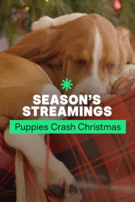 Puppies Crash Christmas