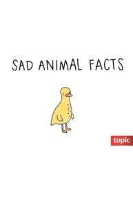 Sad Animal Facts