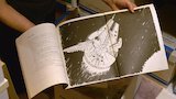 The Stories We Tell