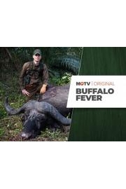 Buffalo Fever
