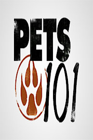 Pets 101