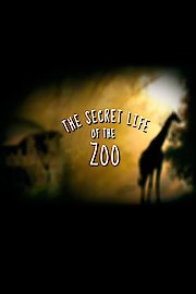 The Secret Life of the Zoo