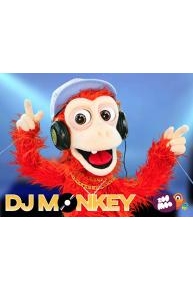 DJ Monkey