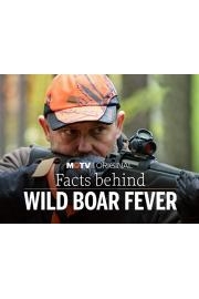Facts Behind Wild Boar Fever