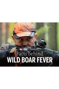 Facts Behind Wild Boar Fever