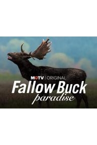 Fallow Buck Paradise