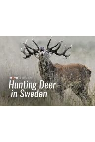 Hunting Deer in Sweden