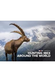 Hunting Ibex Around the World