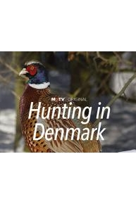 Hunting in Denmark