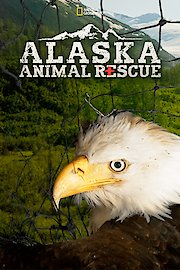 Alaska Animal Rescue