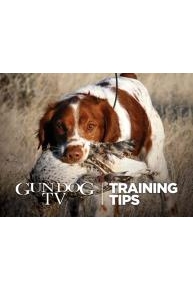 Gun Dog TV Training Tips