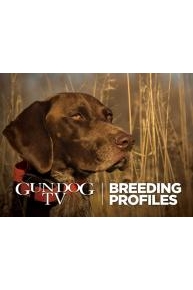 Gun Dog TV Breed Profiles
