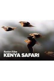 Kenya Safari