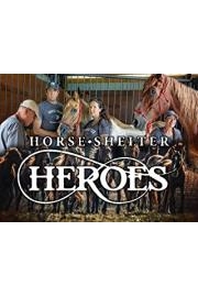 Horse Shelter Heroes