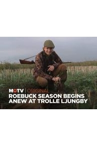 Roebuck Season Begins Anew at Trolle Ljungby