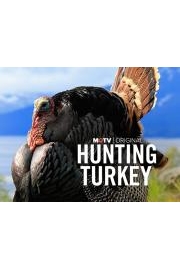 Hunting Turkey